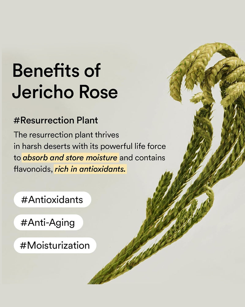 ABIB Collagen Eye Patch